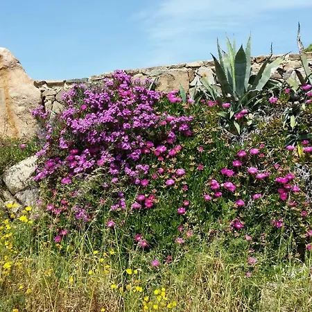 Della Maddalena Сasa de vacaciones