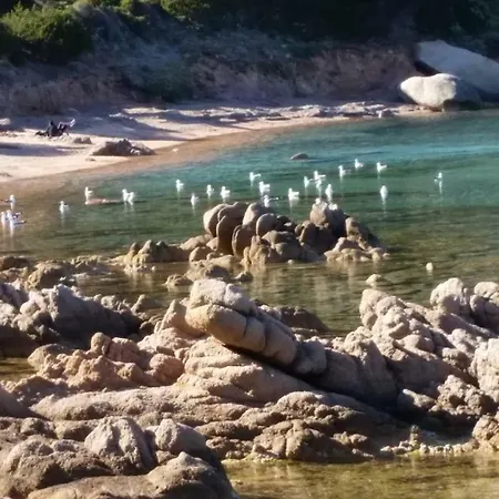 Della Maddalena لا ماداّلينا